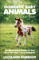 "The 50 Cutest Domestic Baby Animals in the World: An Illustrated Guide to Our Most Adorable Young Creatures," by Lochlainn Seabrook